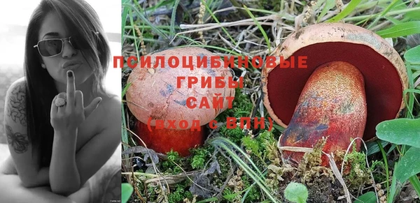 ешки Балахна