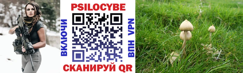 Псилоцибиновые грибы Magic Shrooms  Мантурово 